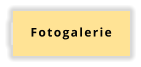 Fotogalerie
